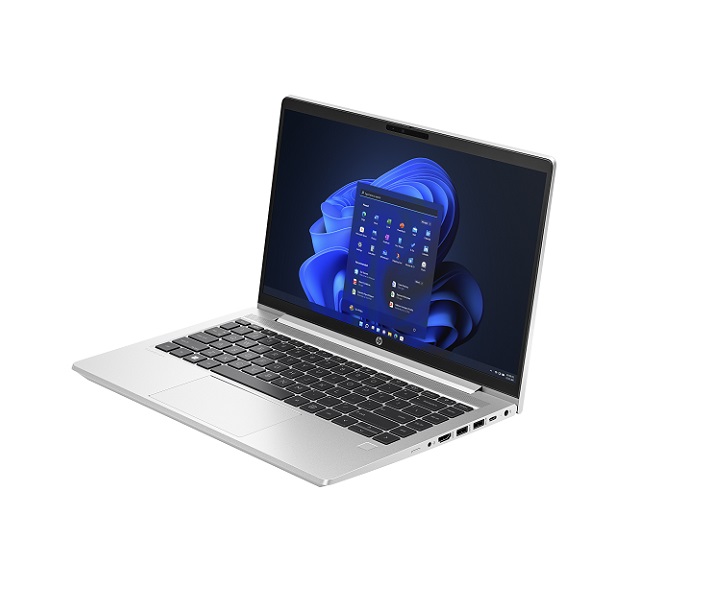 HP ProBook 455 G10 (7P3C9UT)