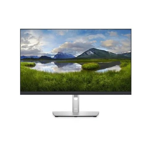 Dell 24" P2425H