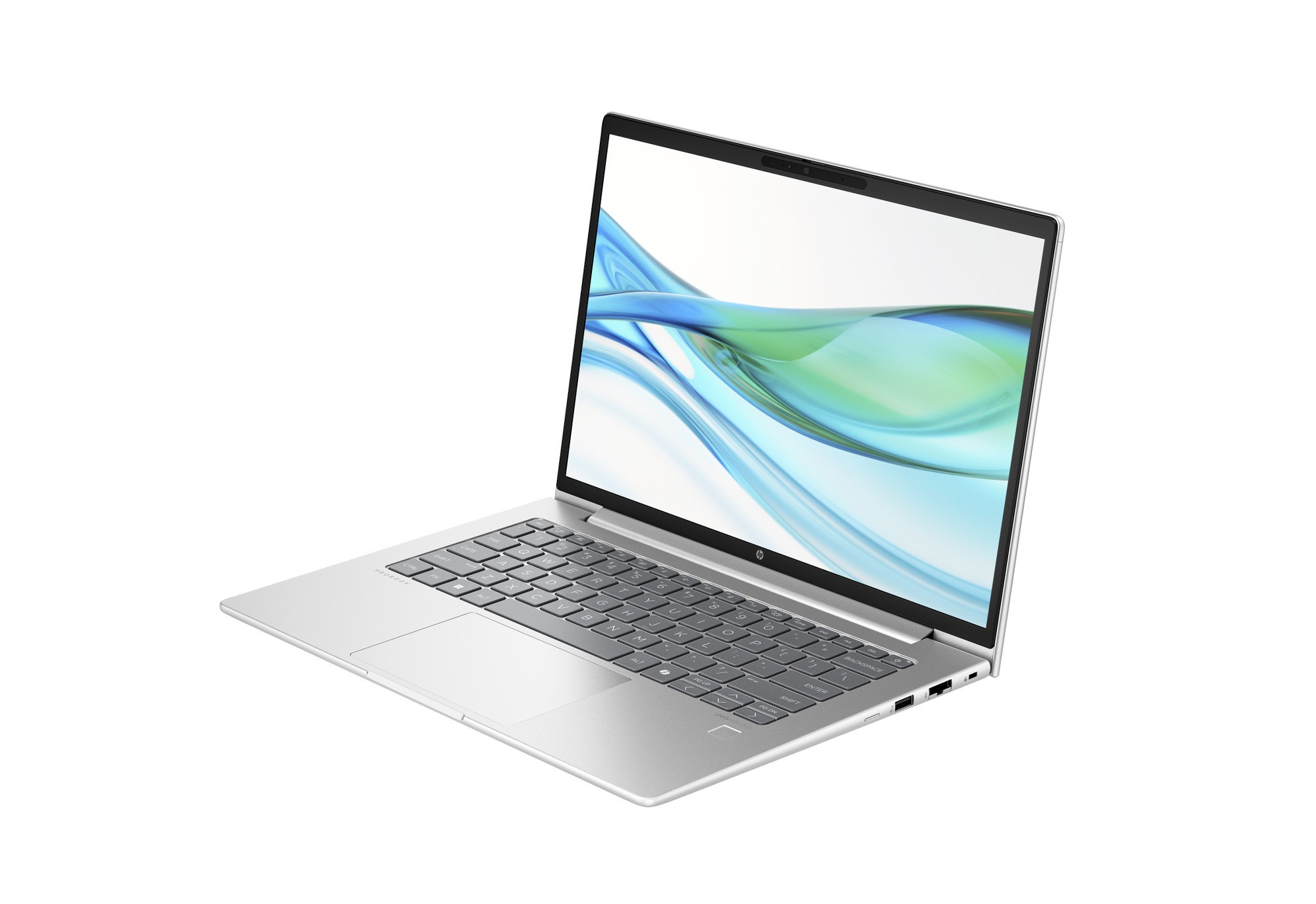 HP ProBook 460 G11 (A1LH5UT)